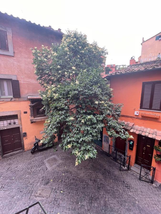 Apartamento Domus Remi Roma Exterior foto